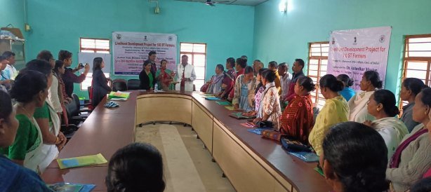 Livelihood Project for Tribal Communities
